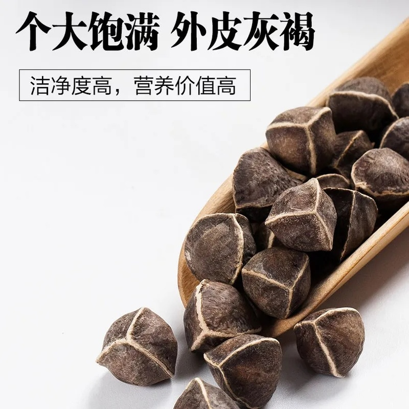 250g Moringa Seeds Heathy Herbal Tea In Bulk Lamuzi Herbs Healthy Drink 辣木籽