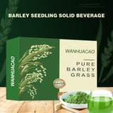 100Pcs Barley Grass Powder 100%Pure &Organic, Pure Organic Barley--