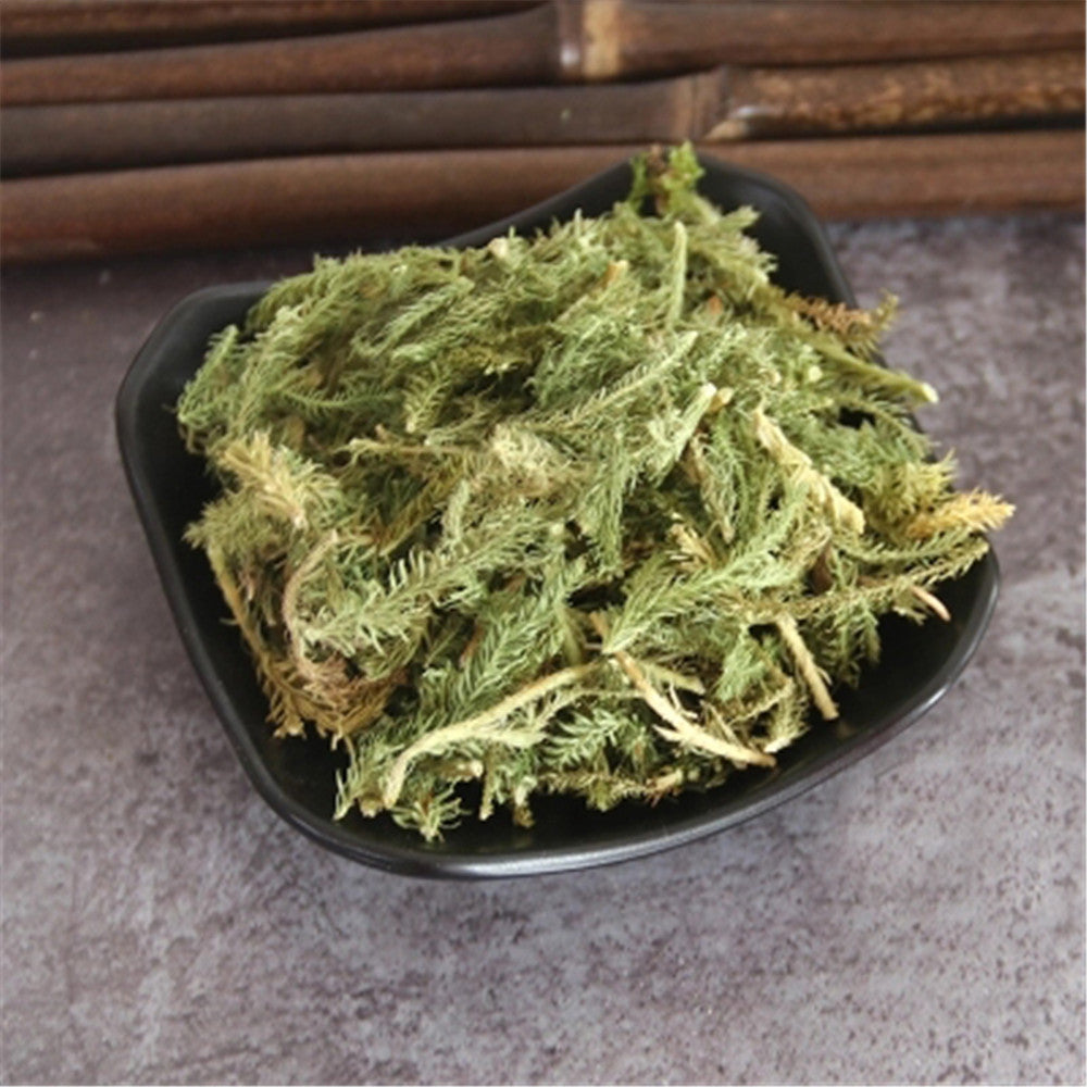 250g Japanese Clubmoss Medicinal Chinese Herbs 100% Natural Shen Jin Cao