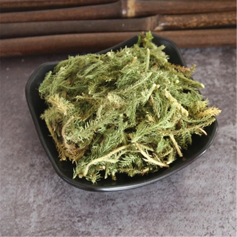 250g Japanese Clubmoss Medicinal Chinese Herbs 100% Natural Shen Jin Cao