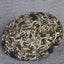 Organic Moonlight Beauty Jingmai Puer Pu'er Moonlight Pu-erh Tea 357g