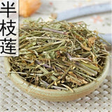 250g Chinese Herb Scutellaria Skull Cap Herb Scutellaria Barbata Ban Zhi Lian