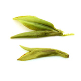 HELLOYOUNG Nonpareil Supreme Xihu Longjing Dragon Well Chinese Green Tea Loose