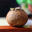 250g Puer Cooked Tea Tangerine Peel Packaging Puerh Yunnan Pu'er Tea Orange