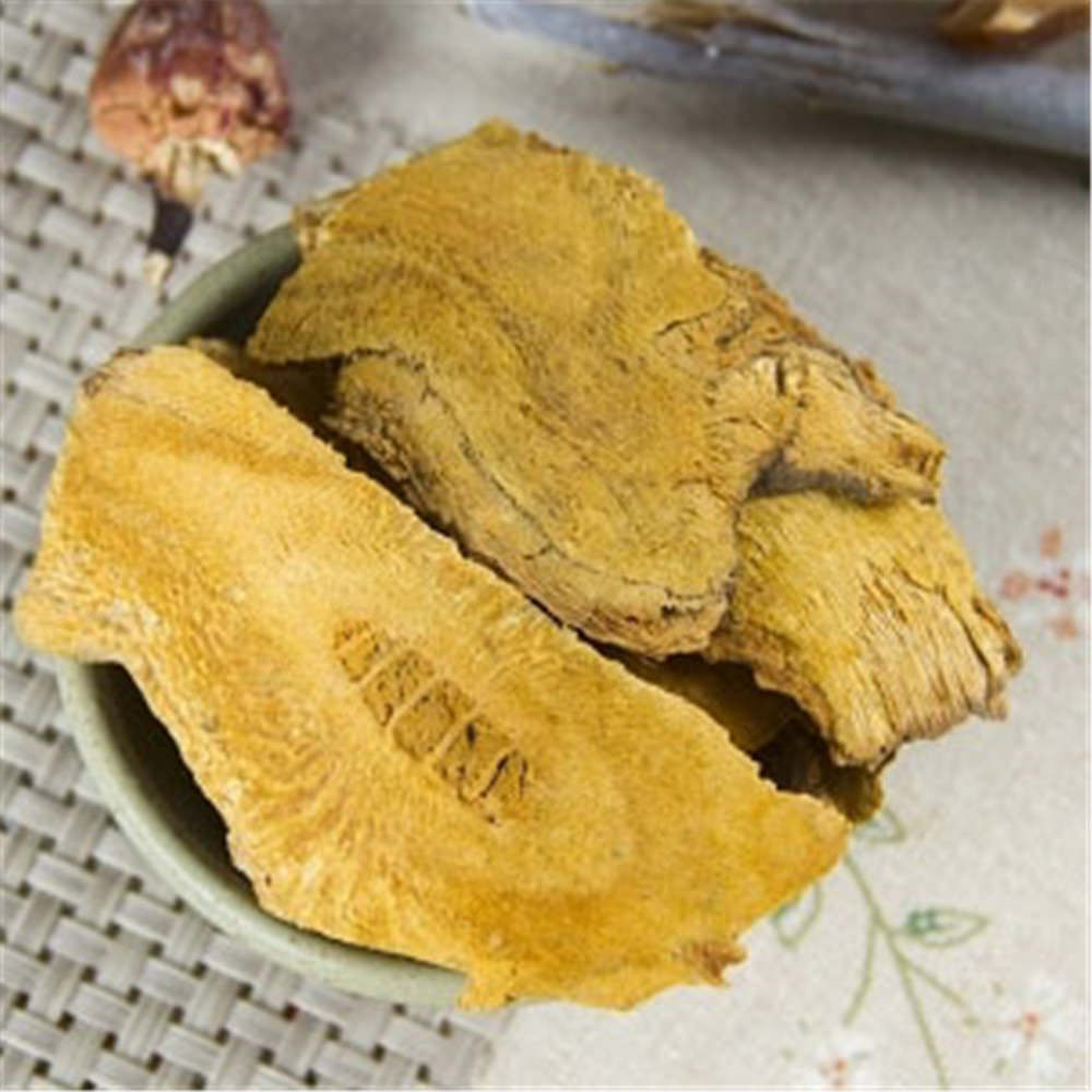100%Natural Knotweed Fallopia Japonica Polygoni Cuspidati HuZhang Chinese Herbal