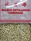 Fritillaria Cirrhosae 川貝母) - 6 OZ