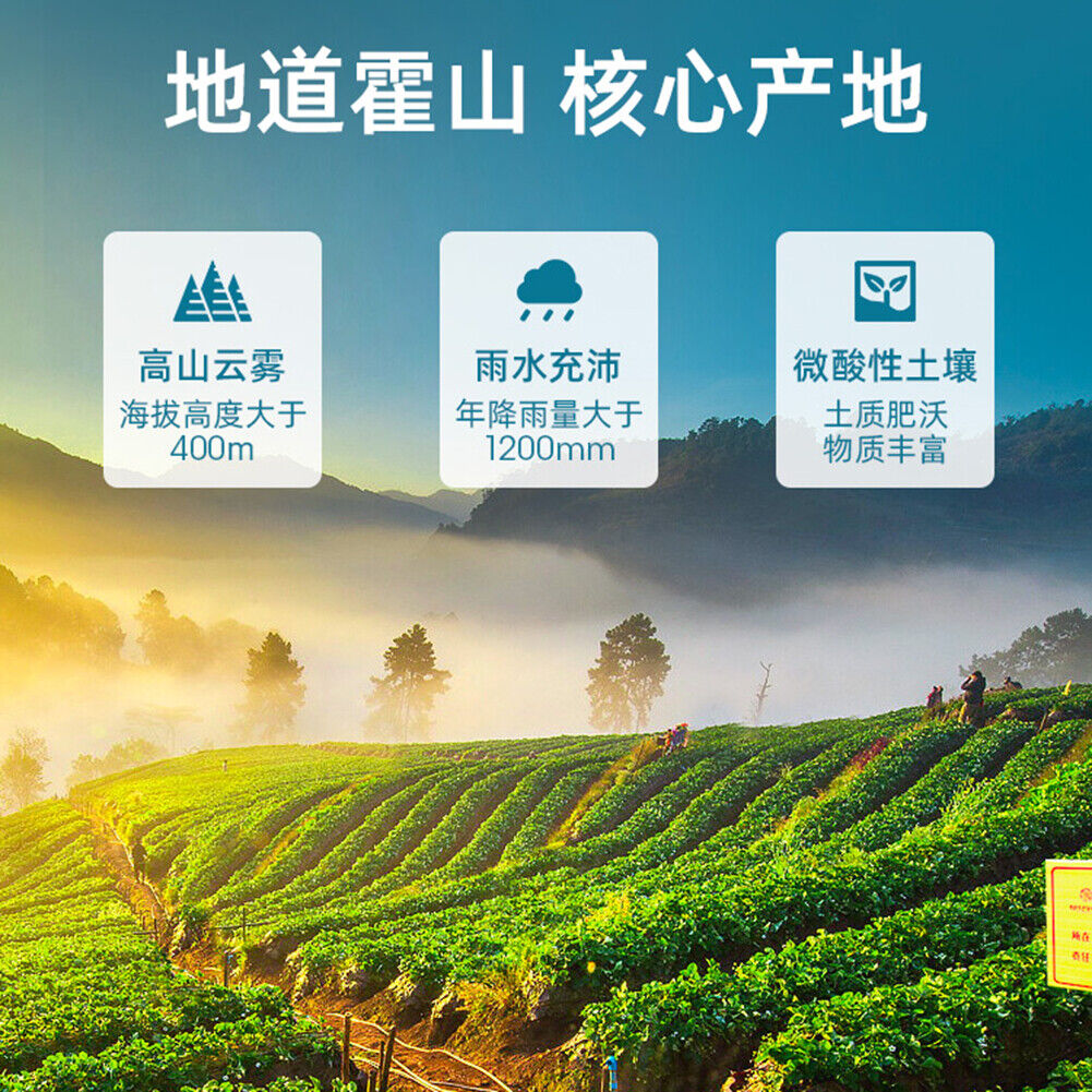 100g tea Healthy Natural Herbal Tea 艺福堂茶叶特级新茶黄大茶 安徽霍山高山春茶 闷黄金黄茶 醇和焦香 解油腻解甜