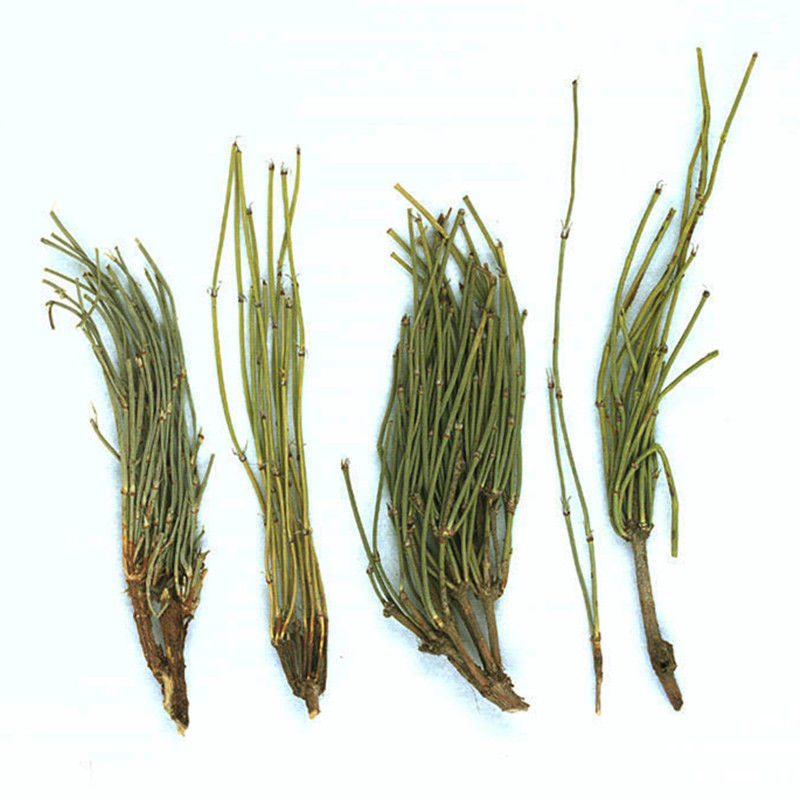 250g MaHuang Herbal Tea Pure Raw Natural Ephedra Sinica Tea Ma Huang Tea Health Care Tea Muhuang Mohuang Mahang