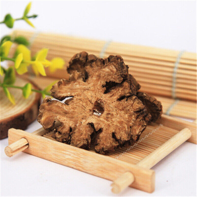 100% Natural Top Chuan Xiong Szechuan Lovage Root Ligusticum Ecology Chuanxiong