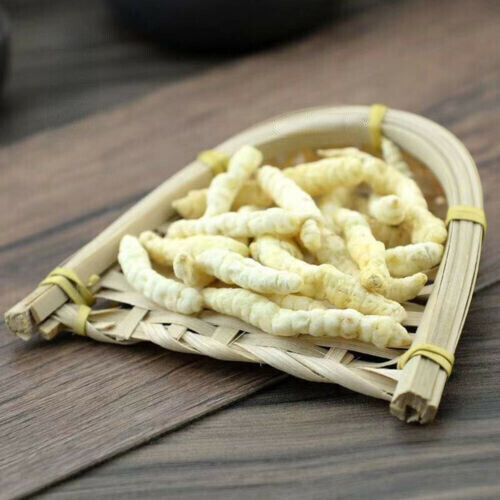 100% Natural Stachys Affinis Sieboldii Chinese Artichoke Dried Herb 草石蚕 250g