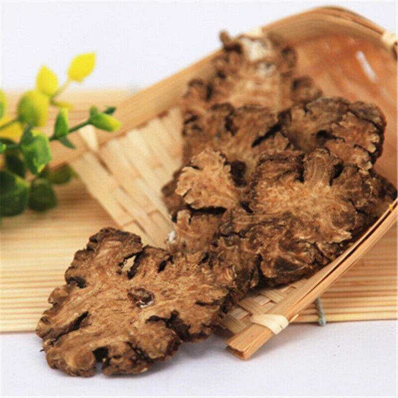 100% Natural Top Chuan Xiong Szechuan Lovage Root Ligusticum Ecology Chuanxiong