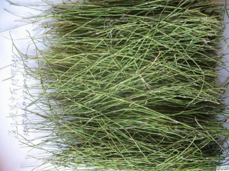 250g MaHuang Herbal Tea Pure Raw Natural Ephedra Sinica Tea Ma Huang Tea Health Care Tea Muhuang Mohuang Mahang