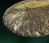 400g Promotion Top Grade Original Ancient Tree Pu-erh Tea Puerh Puer Tea Green Tea