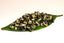 TemuTea 100g Promotion Green Tea Top Grade Biluochun Tea Chinese Green Food Healthy Tea