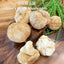 Premium Lions Mane Mushroom Hericium Erinsceus Mushroom Chinese Dried Goods 250g