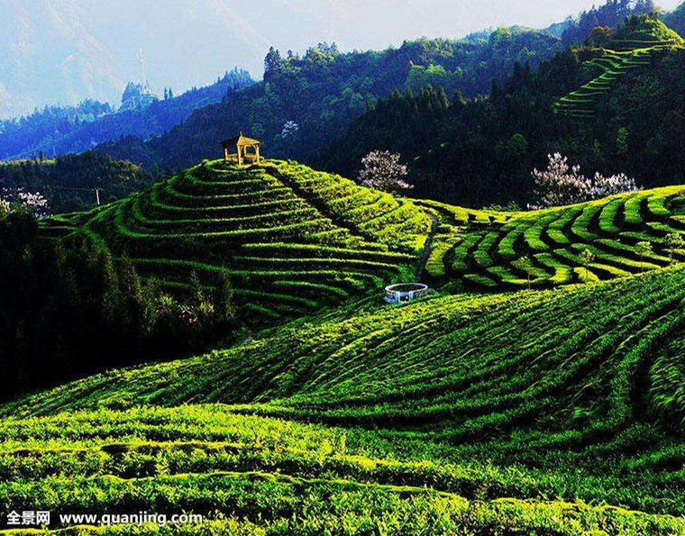 357g Classic Ripe Pu Er Tea Black Menghai Cooked Pu-erh Puer Red Slimming tea