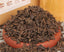Old Tree Organic Health Chinese Puer Tea Boxed Ripe Pu-erh Loose Black Tea 120g