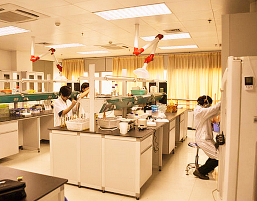 1000g Gold Melon Tribute Tea Raw Puerh Tuo Cha Pu Erh Tea Food Yunnan Pu-erh Tea