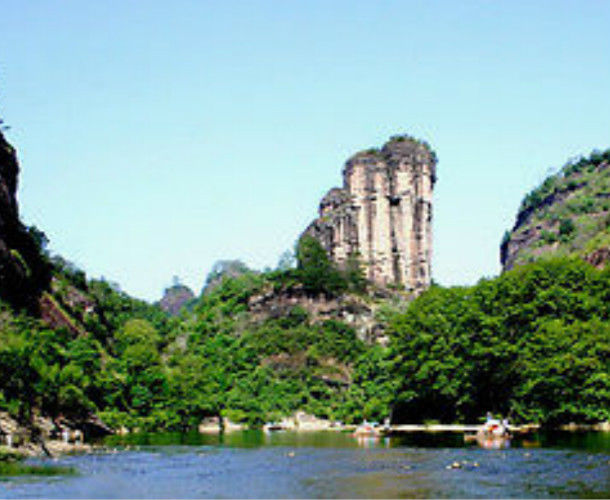 250g Oolong Tea Chinese Anxi Tie Guan Yin Tea Green Tea Tieguanyin Tikuanyin Tea