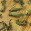 Ginkgo Biloba Leaf Loose Leaf Chinese traditional Tea Green Tea Herbal Tea 500g