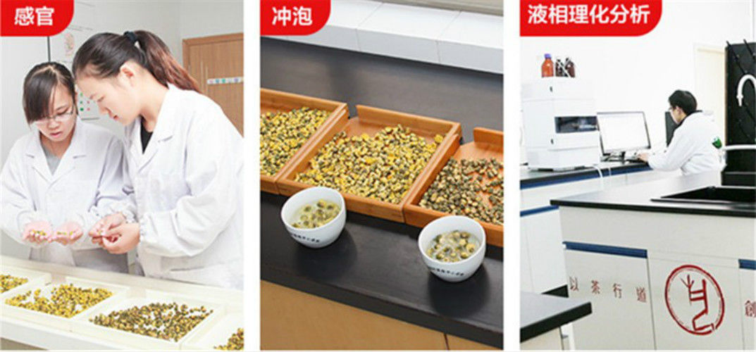 Organic Gold HuangJu Tea 4 pieces Chrysanthemum tea a Large Cup of Herbal Tea in Summer