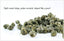 Jasmine Flower Tea Herbal Fragrant Floral Tea Dried Pearl Organic Green Tea 100g