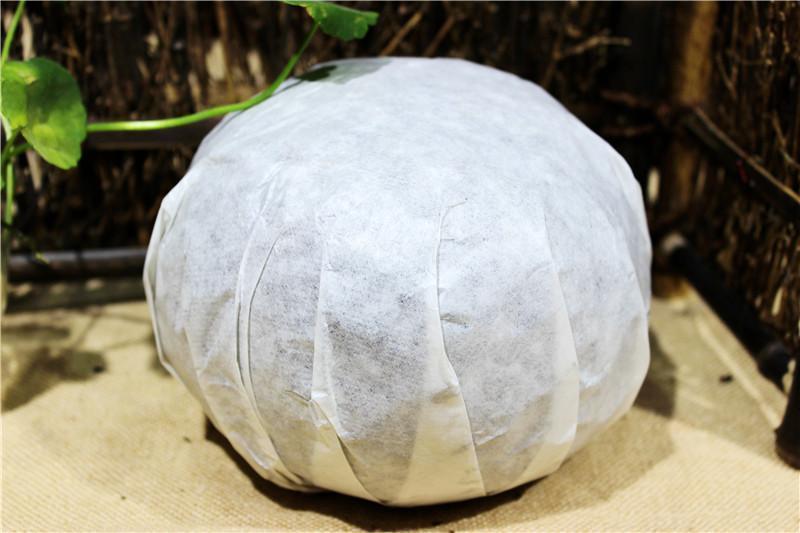 1000g Gold Melon Tribute Tea Raw Puerh Tuo Cha Pu Erh Tea Food Yunnan Pu-erh Tea