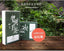 TemuTea Spring green tea raw pu-erh tea pu erh tea 200g yunnan Sheng Tea Green Food