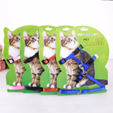 Hot Sale 4 Colors Nylon Products For Pet Cat Harness And Leash Adjustable Pet Traction Harness Belt Cat Kitten Halter Collar Cat