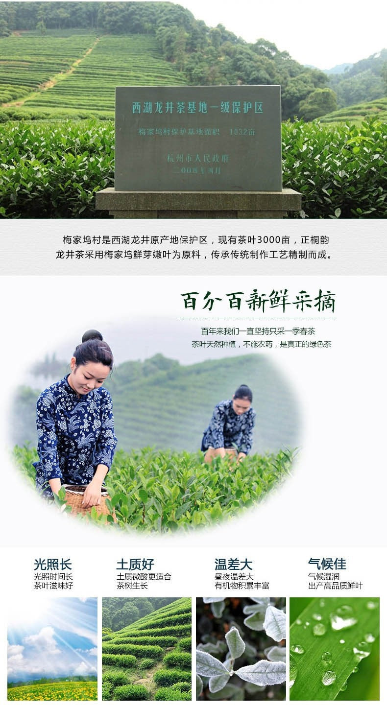 250g China Famous Good Quality Dragon Well Spring Longjing Green Tea for Health