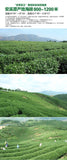 Anxi Tieguanyin Fresh Green Tikuanyin tea Natural Organic Health Oolong tea box
