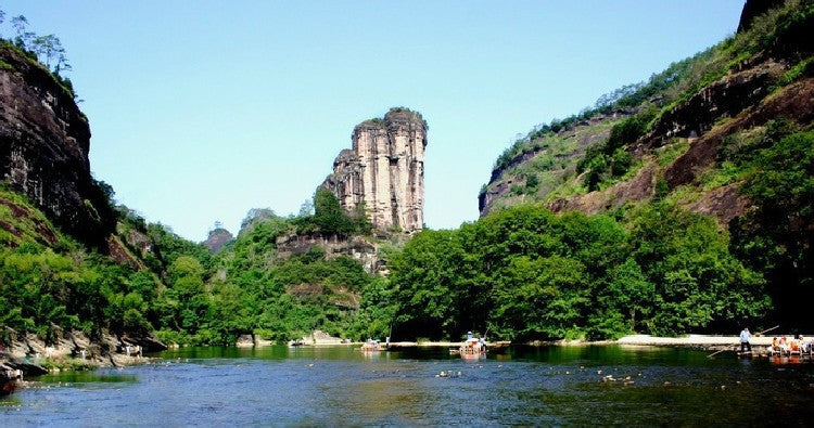 12 bags assorted Tea Jinjunmei Tea Lapsang souchong Tea Dahongpao Tea Black Tea