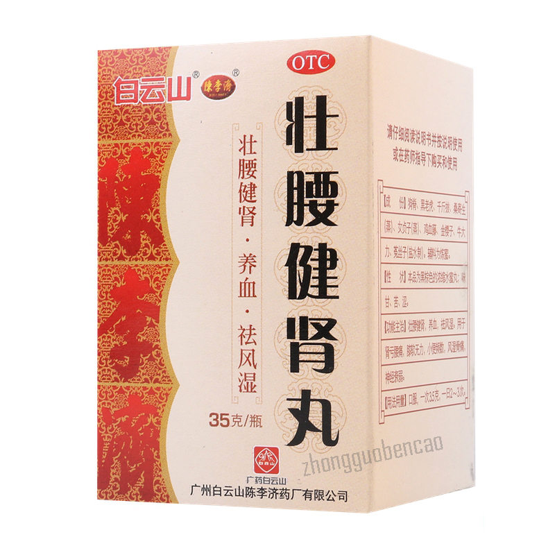 白云山壮腰健肾丸 Bai Yun Shan Zhuang Yao Jian Shen Wan Baiyunshan Zhuangyaojianshenwan