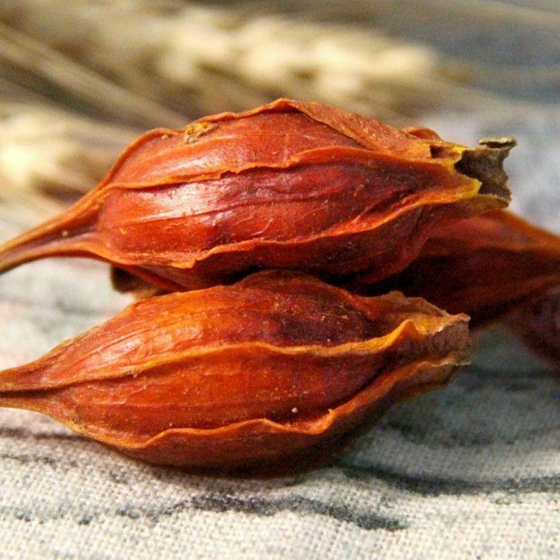 CIFbuy 100%Natural Cape Jasmine Fruit Gardenia Zhi Zi Chinese Specialty Herbs Particles