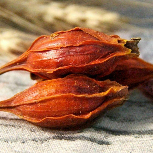 CIFbuy 100%Natural Cape Jasmine Fruit Gardenia Zhi Zi Chinese Specialty Herbs Particles