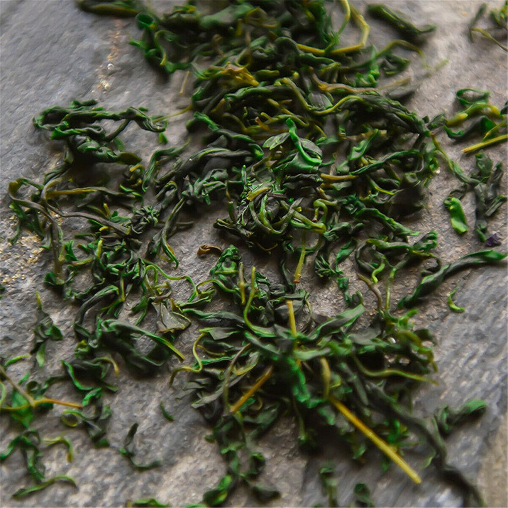 CIFbuy New Tea Flower Herbal tea Small-leaved Kuding Tea Qingshanlvshui