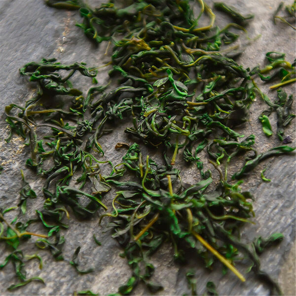 CIFbuy New Tea Flower Herbal tea Small-leaved Kuding Tea Qingshanlvshui