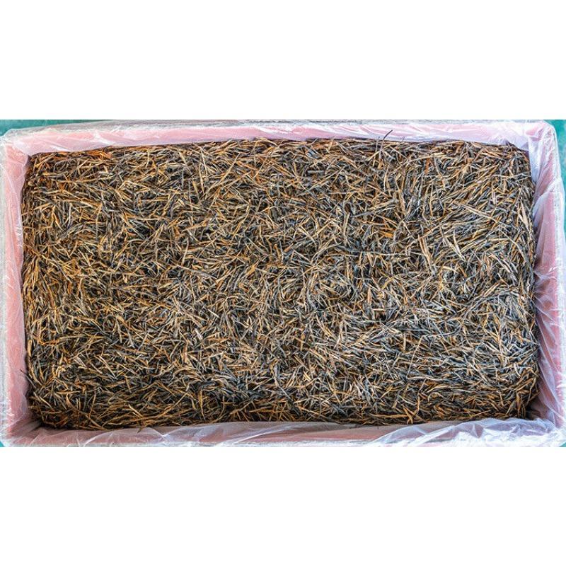 CIFbuy Yunnan Fengqing DianHong tea Pine Needle Un bourgeon une feuille Golden Needle