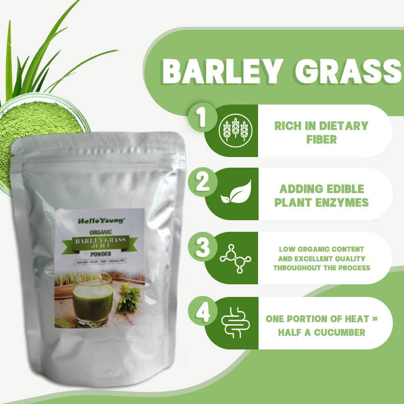 Pure Wheat Grass Powder, Wheat Grass extract powder, Wheatgrass Powder Secondary image