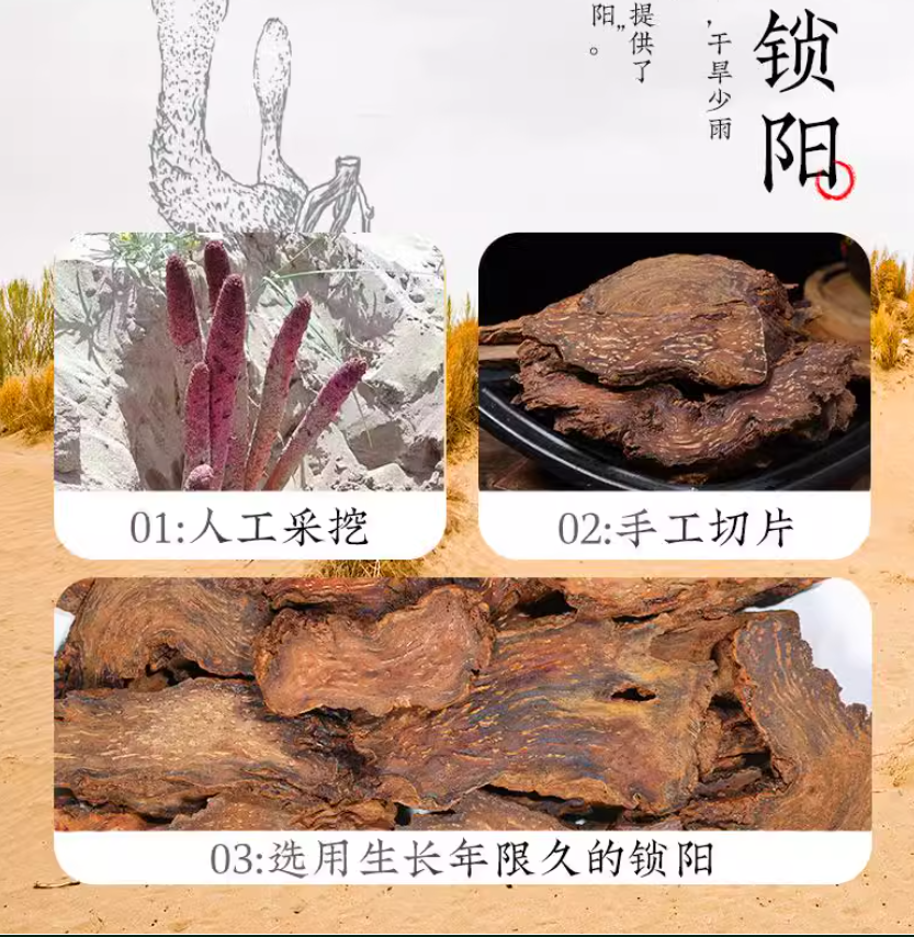 Slices Suoyang Cynomorium Songaricum Slice Organic Chinese Healthy Herbal 250g