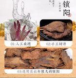 Slices Suoyang Cynomorium Songaricum Slice Organic Chinese Healthy Herbal 250g