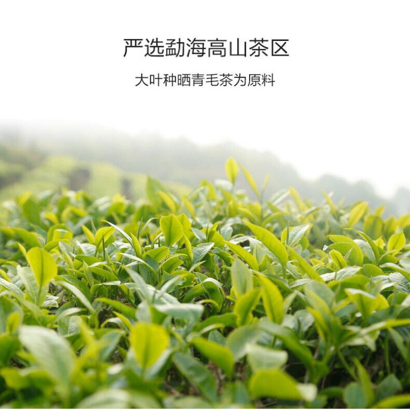 CIFbuy Haiwan Lao Tong Zhi Old Comerade 7548 Pu-erh Tea Cake Sheng 2021 357g Raw Pu'er