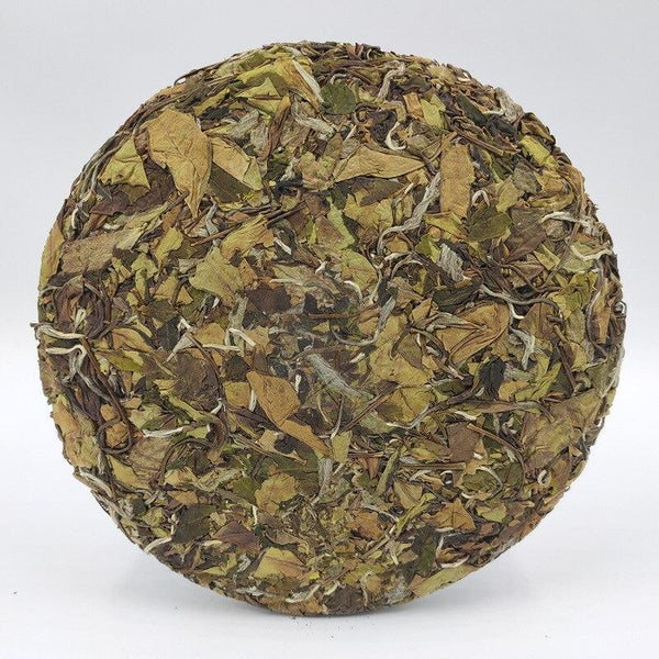 CIFbuy 2021 Fuding Shoumei (High-Mountain Autumn White Dew Bai Cha), High-Aroma White Tea, 350g