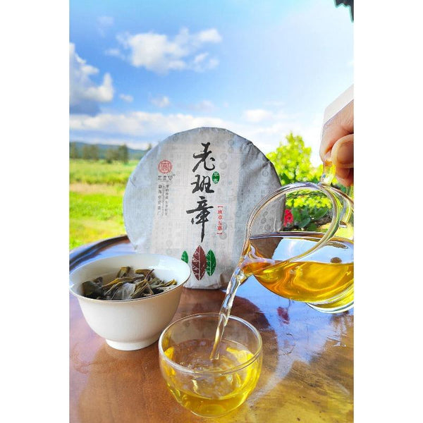 CIFbuy 357g Ming Qian Ancient Tree Spring Tea Pu'er Raw Tea Seven Seed Cake Tea