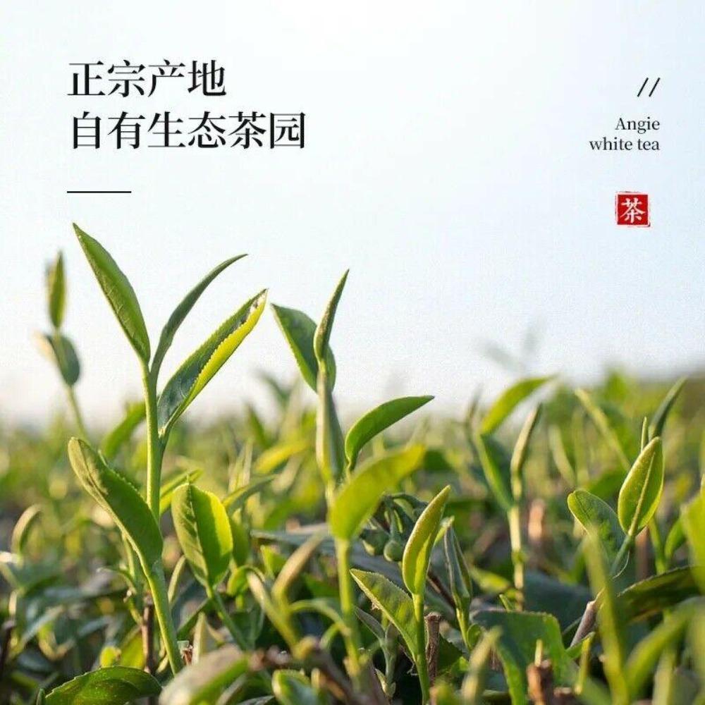 CIFbuy New 250g Phoenix Dancong Qi Lan Fragrance (Rare Orchid) Oolong Tea Flower Aroma