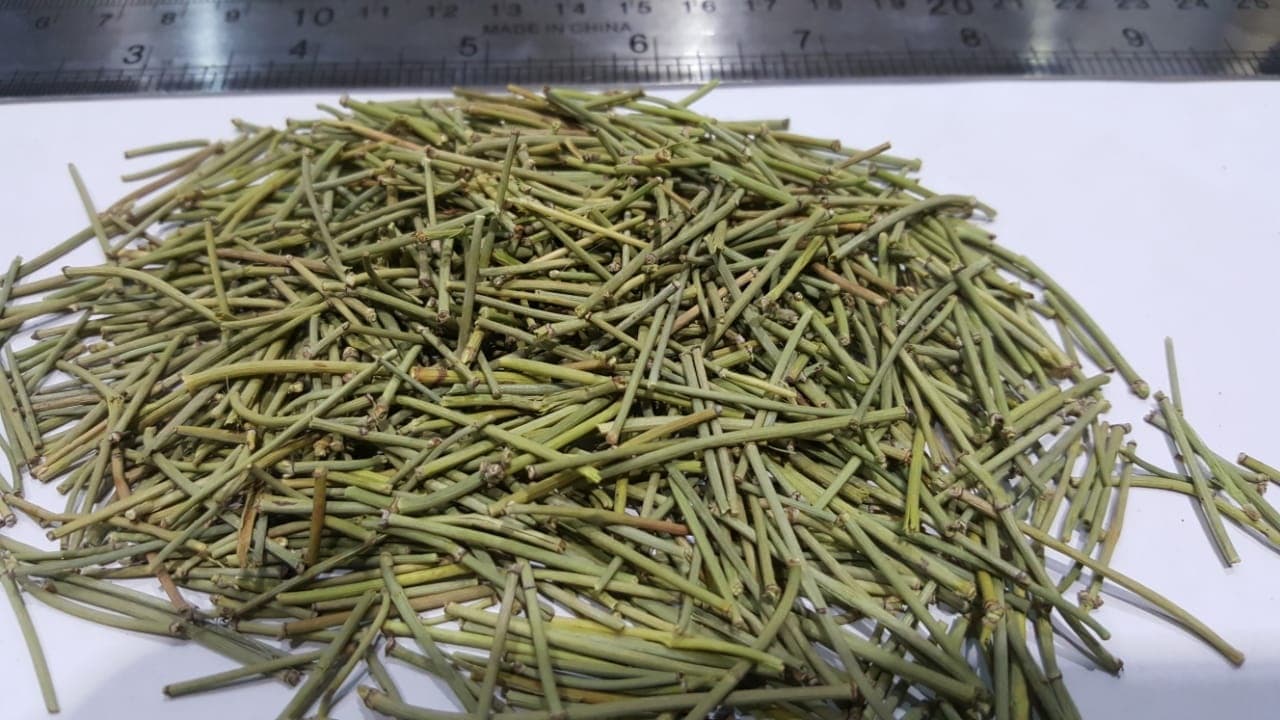 Chinese Medicinal Herb Ma Huang Grade A 250g Secondary image