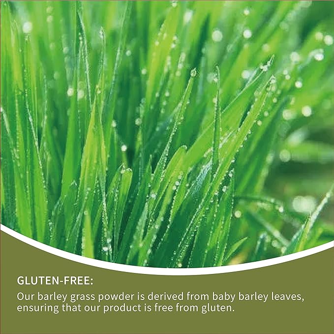 Organic Barley Grass Powder 250g, Green Superfood for Smoothie, 100% Pure&Natural I Nutritionally Complete Secondary image