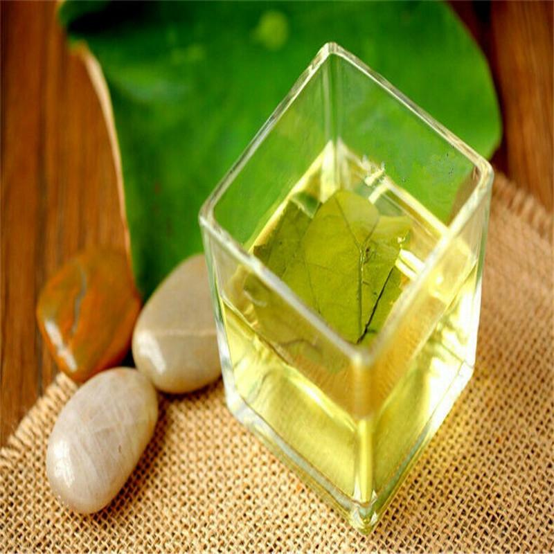 CIFbuy Traditional Tea Lotus Leaf Green Tea Herbal Tea