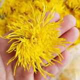 Chinese Big Golden Chrysanthemum Flower Tea Healthy Dried Flower Tea Ju Hua Cha