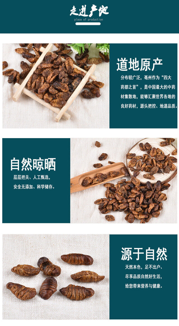 Dried Cicada Chrysalis Dried Silkworm Chrysalis Chinese Herbs 500g/1.1lb